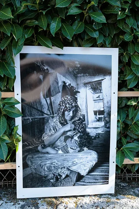 V&eacute;ronique Abour - Photo n°3
