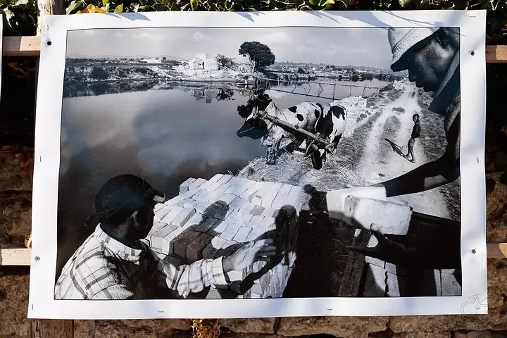 Laurent Blandin - Photo n°3