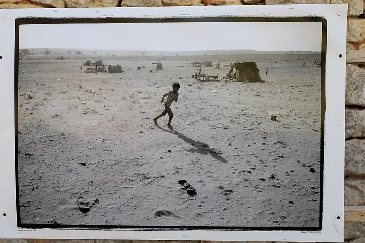 Laurent Ouisse - Photo n°2