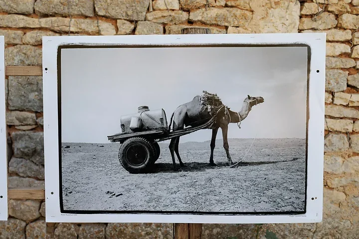 Laurent Ouisse - Photo n°3
