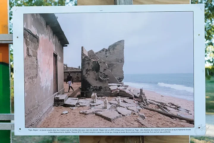 Matilde Gattoni - Photo n°6