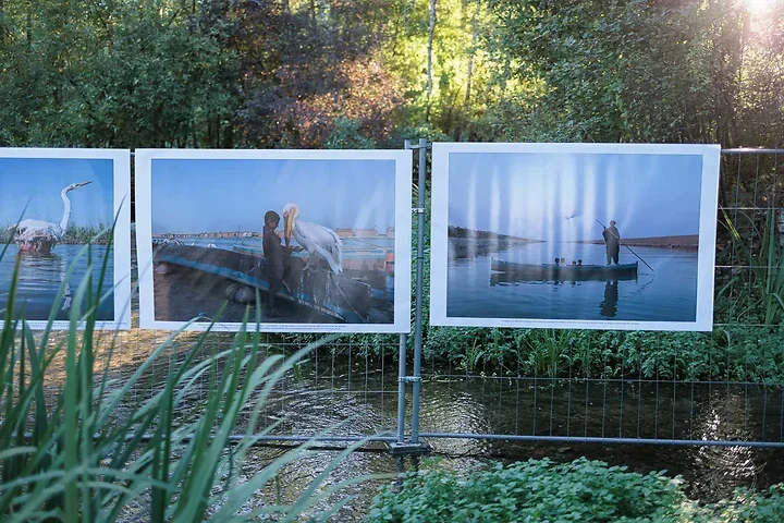 Guillaume Petermann - Photo n°2